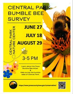 Central Park Bumble Bee Survey