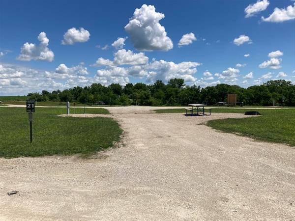 ELP #21 Sugar Maple Campsite