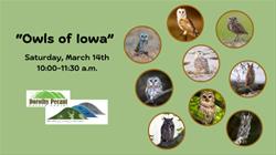 Owls of Iowa – 10:00-11:30 AM
