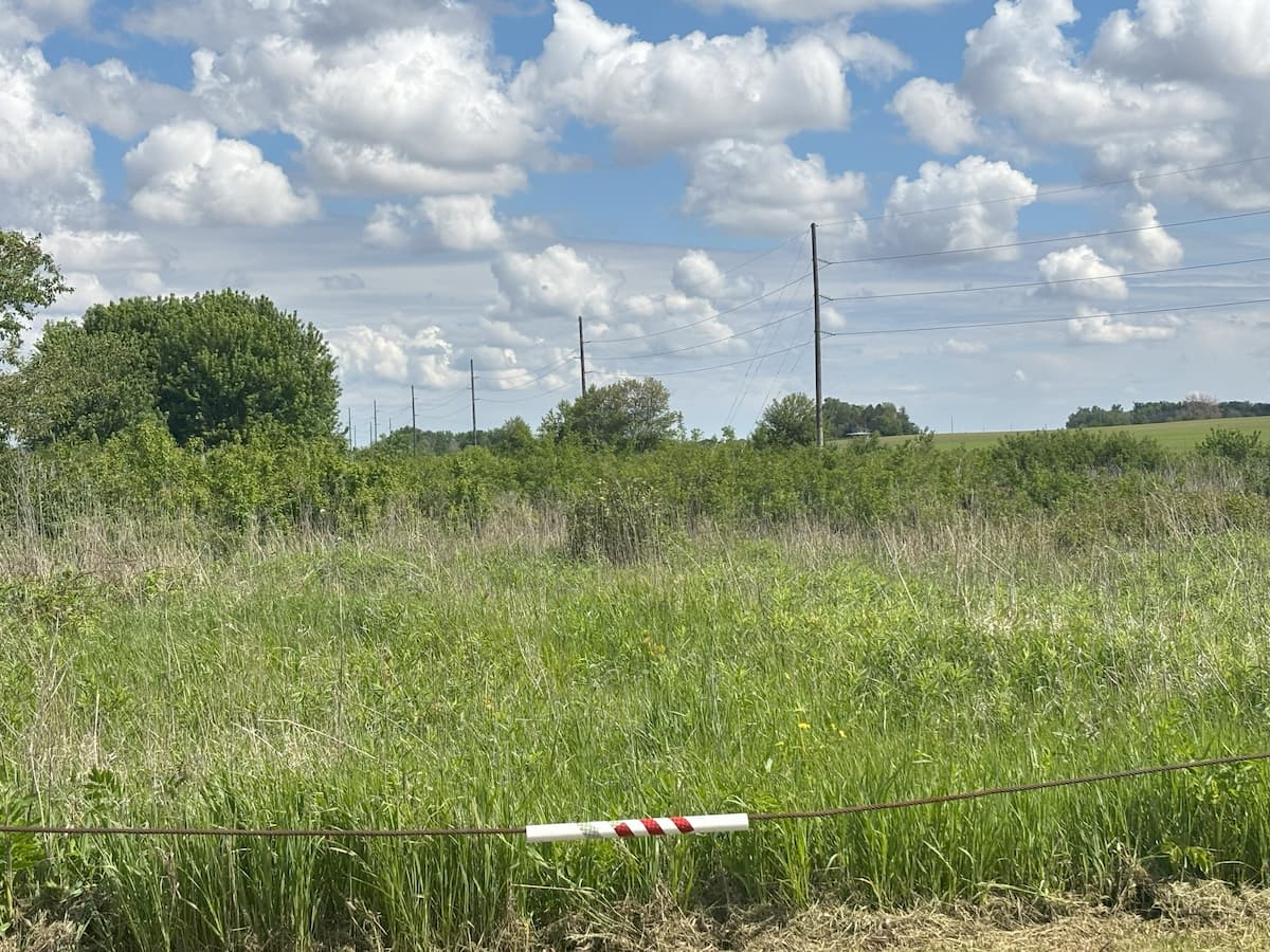 Knapp I Wildlife Area