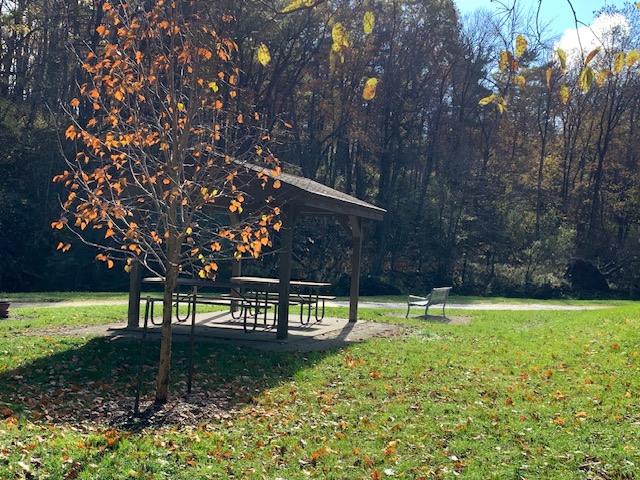 Echo Valley Small Shelter