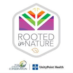 Shinrin Yoku - Forest Bathing