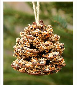 Critter Crafts: Birds & Bird Feeders