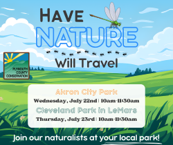 Have Nature Will Travel - Akron