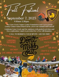 Fall Festival