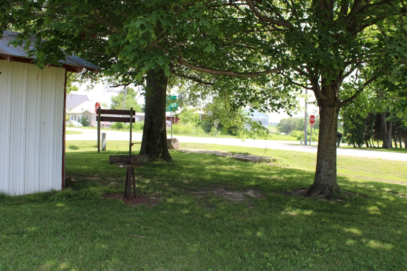 Shade trees of Gobble Park