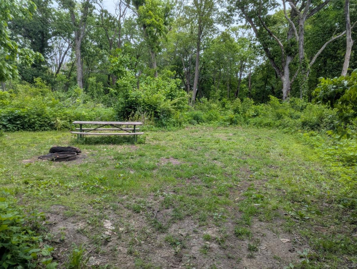 Yellow Banks Tent Site 7