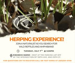 Herping Experience!
