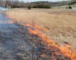 Prescribed Fire Workshop