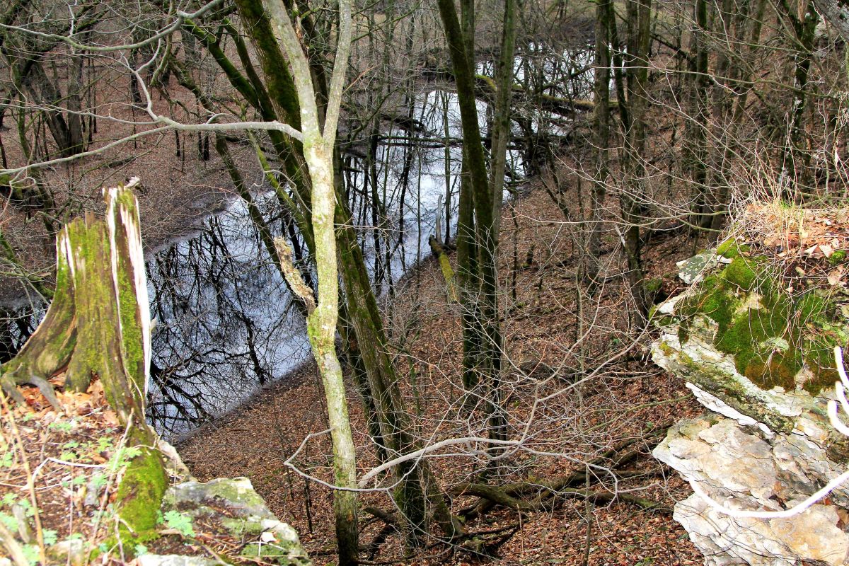 Chimney Rock Park view down