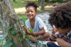Eco Explorers: Tree Detectives