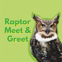 Raptor Meet-n-Greet with Raptology