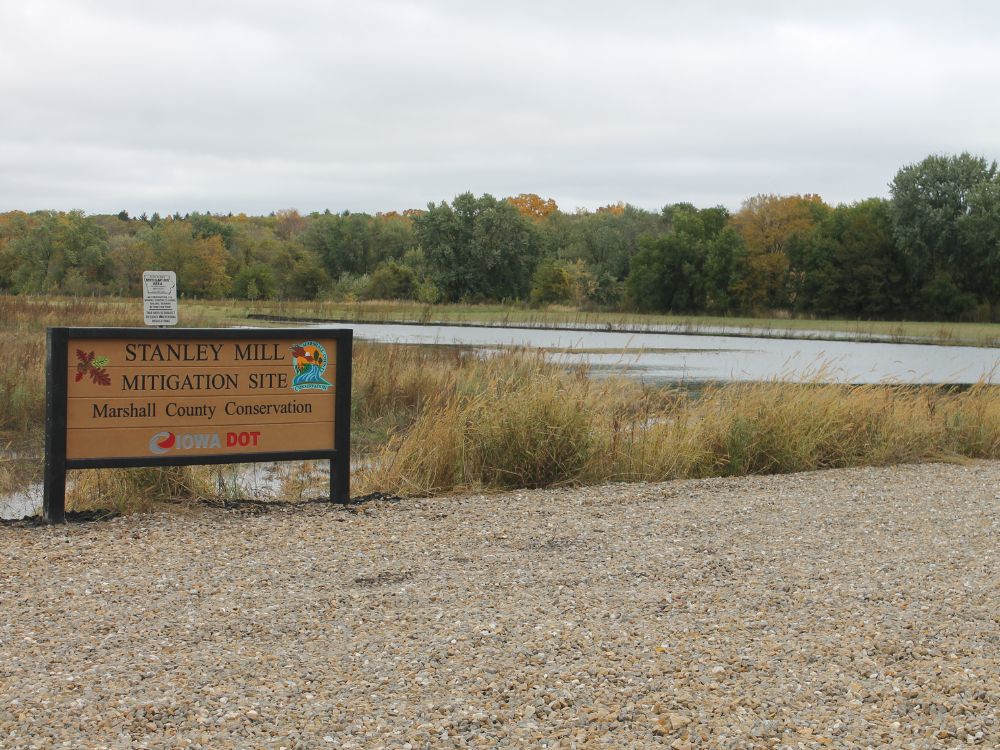 Stanley Mill Mitigation Site