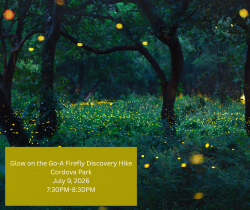 Glow on the Go-A Firefly Discovery Hike