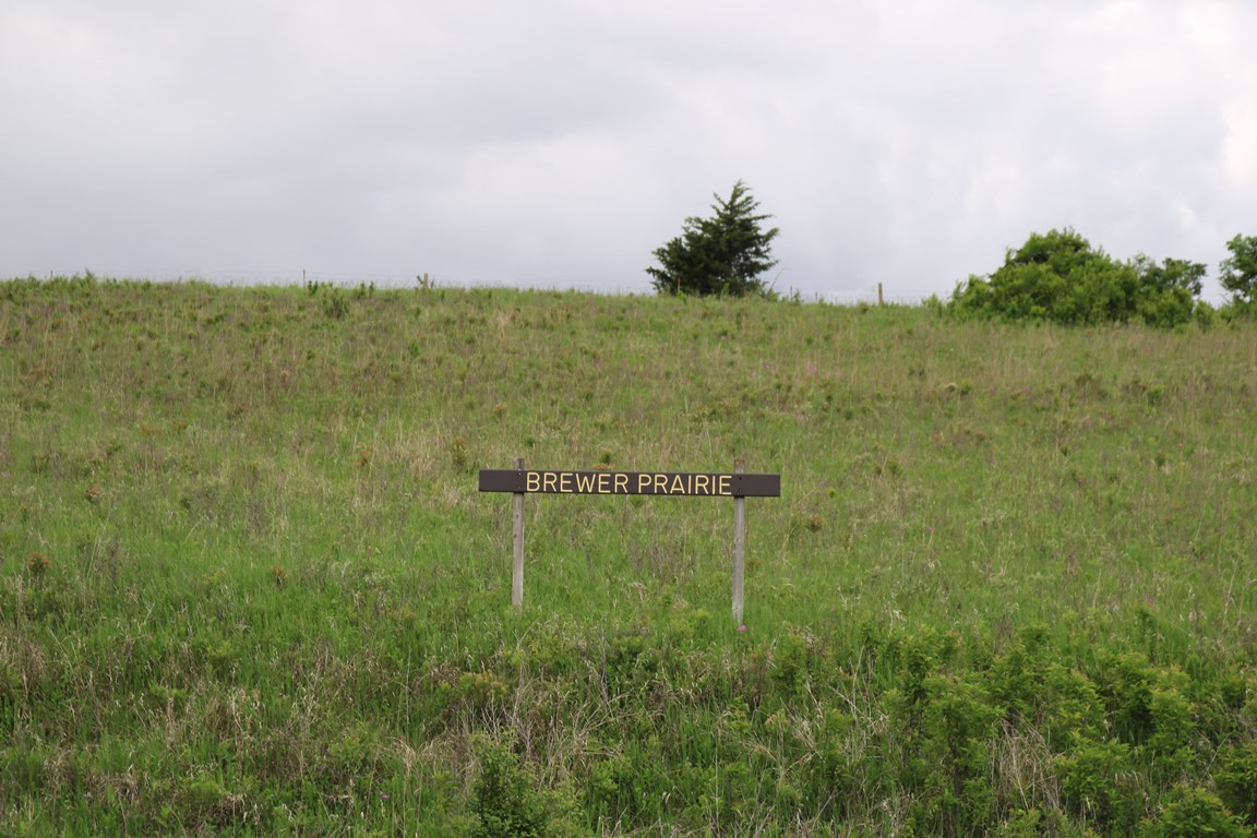 Brewer Prairie
