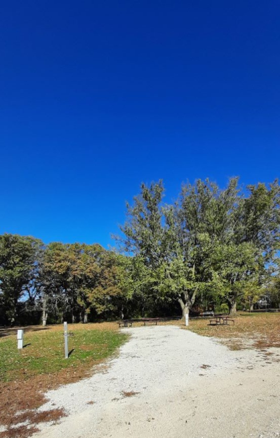 Electric Site 014 - Don Williams