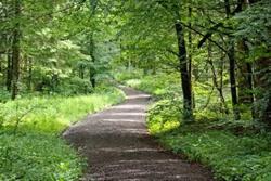Afternoon Walk with the Outdoor Alliance of Story County