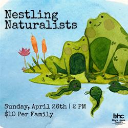 Nestling Naturalists: Amphibians