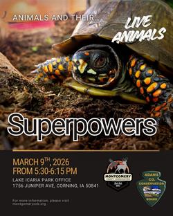 Animals and Their Superpowers