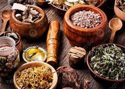 Herbal Remedies Workshop
