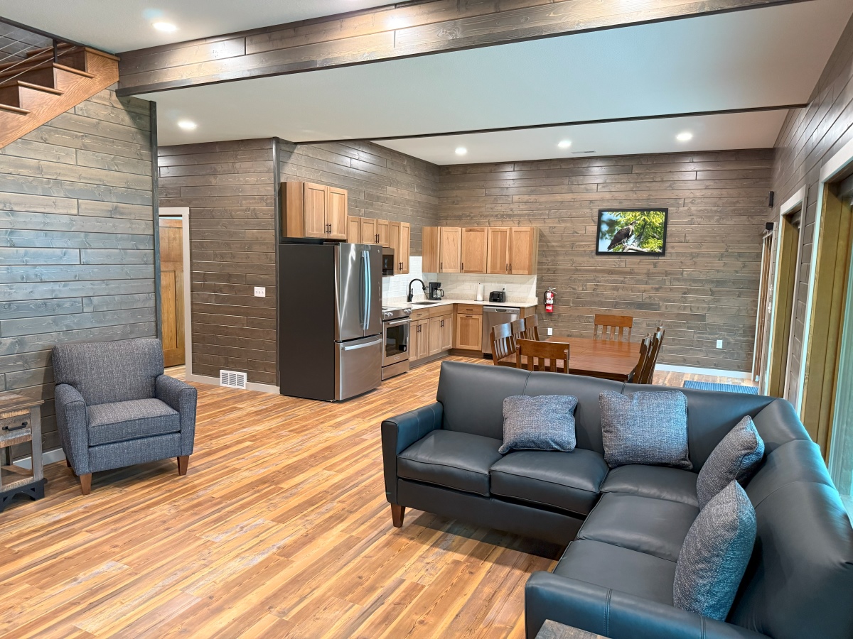Basement living room and kitchen
