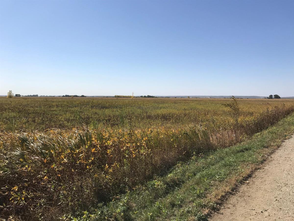 Loess Hills Pheasants Forever Wildlife Area 