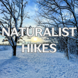 Family Naturalist Hike