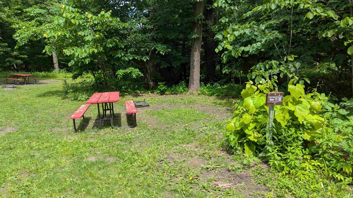 Swede Point Park Tent Site 2