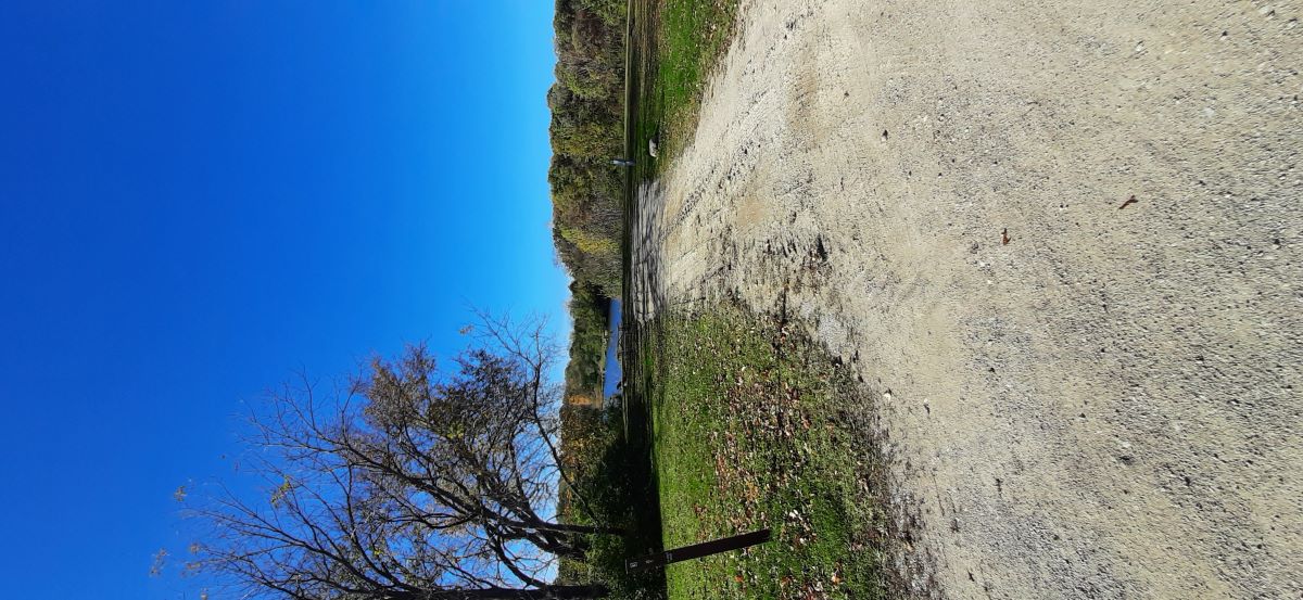 Electric Site 003 - Don Williams