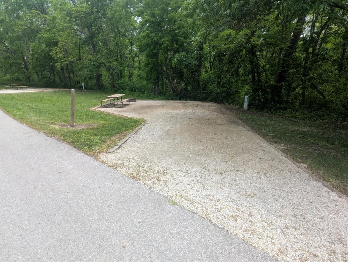 Yellow Banks Site 31