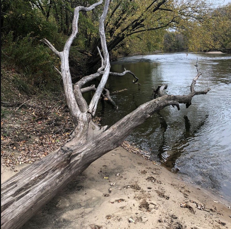 Pin Oak Wildlife Area