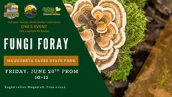 OWLS Fungi Foray