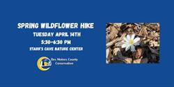 Spring Wildflower Hike
