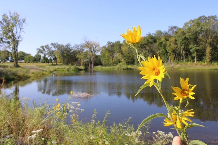 Zillman's Hickory Hills