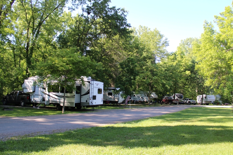Large Campers on the loop
