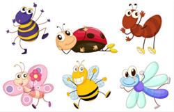 Lime Creek Littles - Exciting Insects