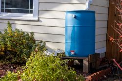 Rain Barrel Workshop