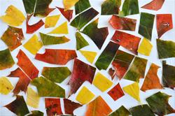Make & Take - Leaf Mosaics