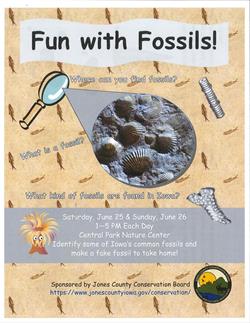 Fun with Fossils