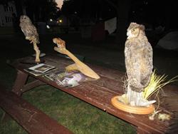 O.W.L.S. - Chuck Ungs - Who Gives a Hoot - Owls for O.W.L.S. aka Owls Squared!