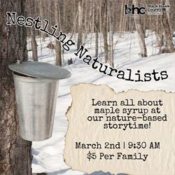 Nestling Naturalists: Maple Syrup