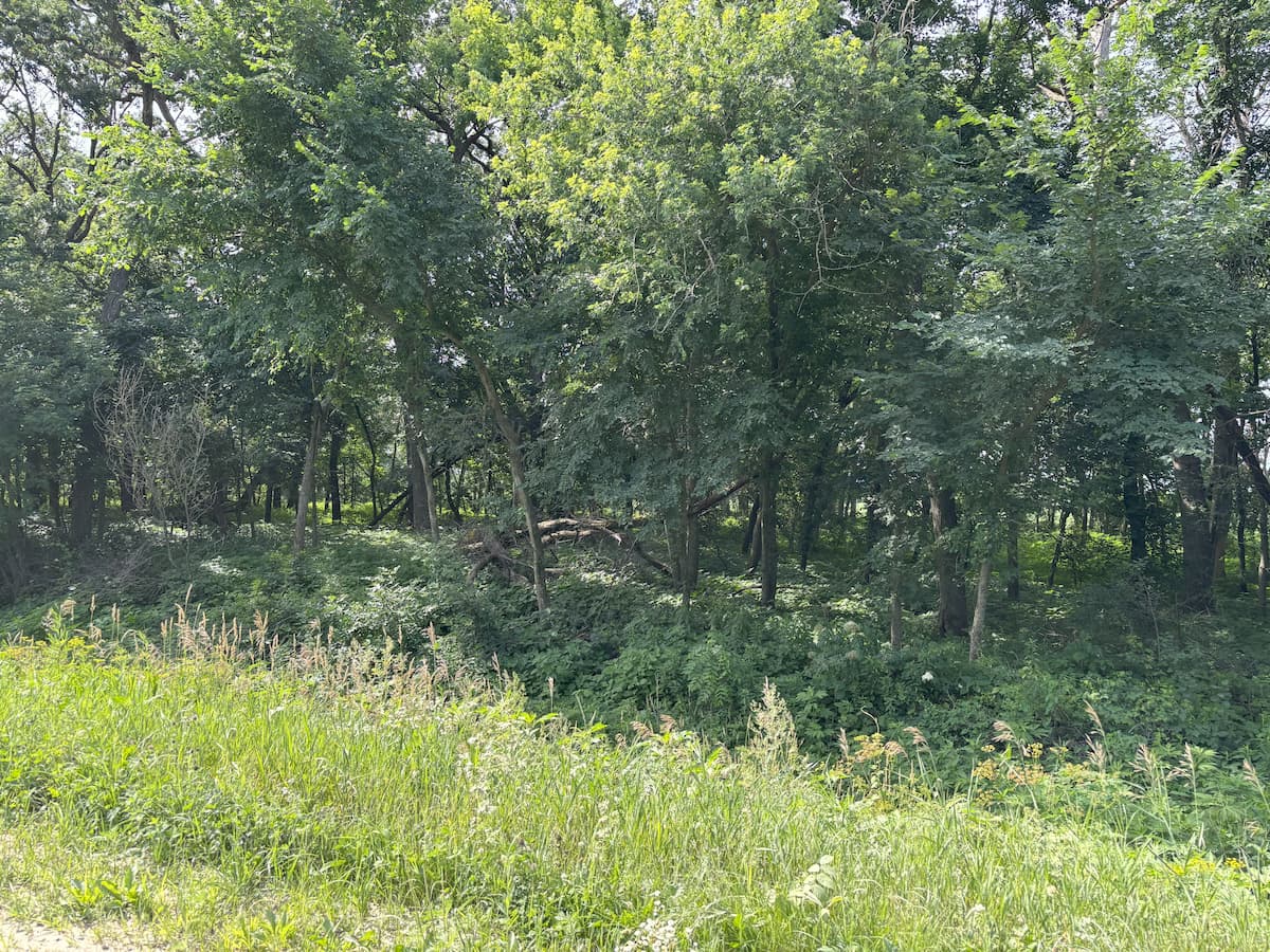 Edna Peltz Wildlife Area