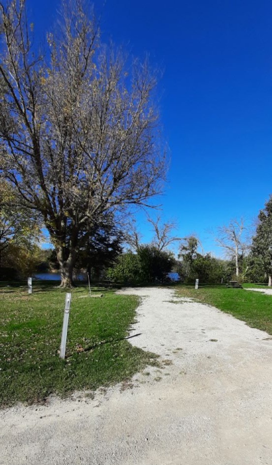 Electric Site 009 - Don Williams