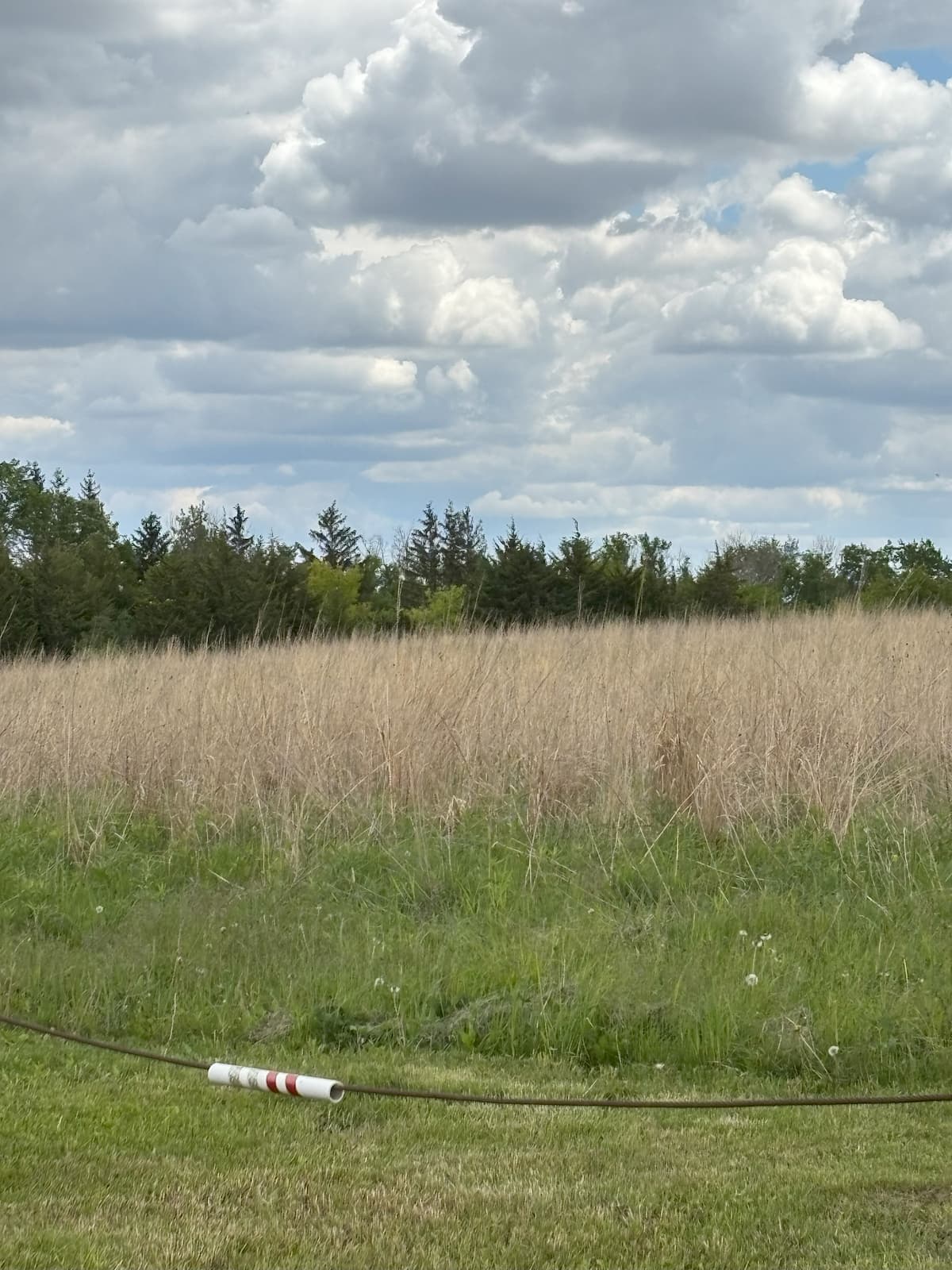 Gil White Conservation Area