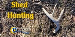 Shed Hunting