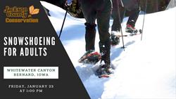 Snowshoe Hike for Adults