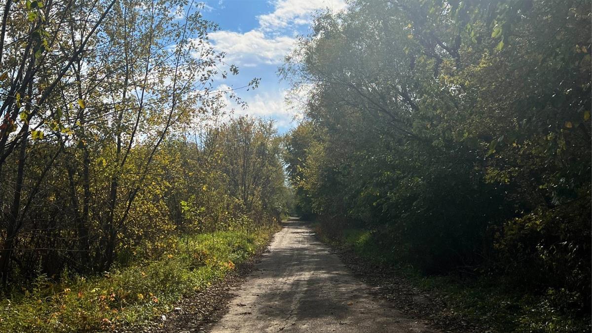 Devil's Creek Access