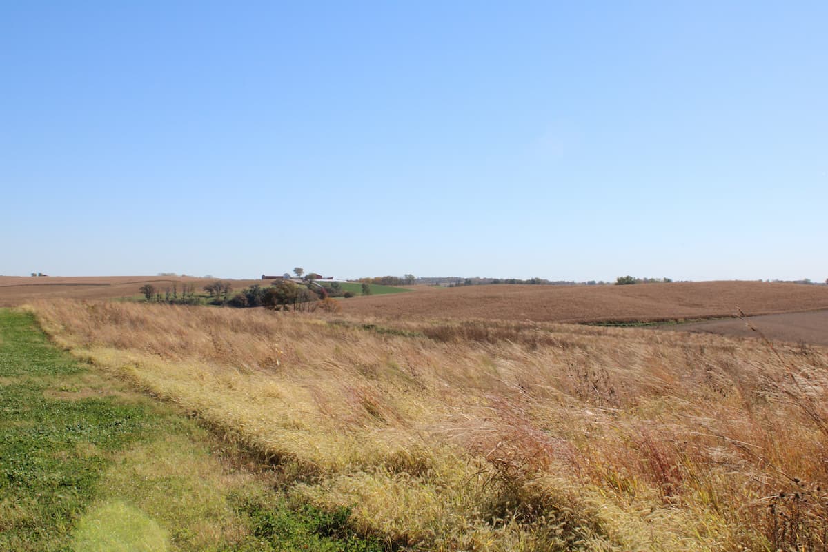 McCathy Wildlife Area