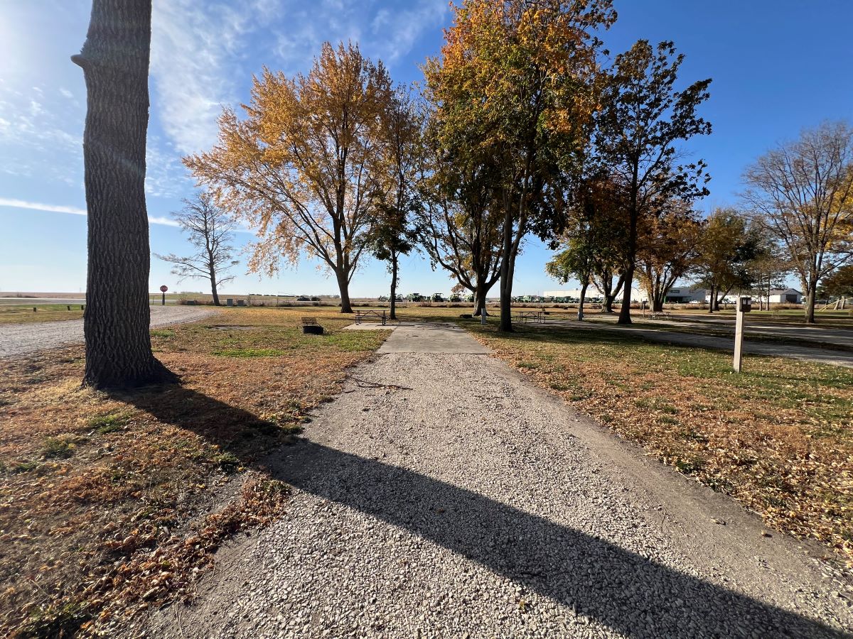 Mill Creek campsite #41 cement parking pad with trees and picnic table
