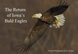 The Return of Iowa's Bald Eagles